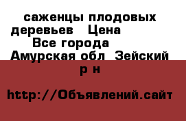 саженцы плодовых деревьев › Цена ­ 6 080 - Все города  »    . Амурская обл.,Зейский р-н